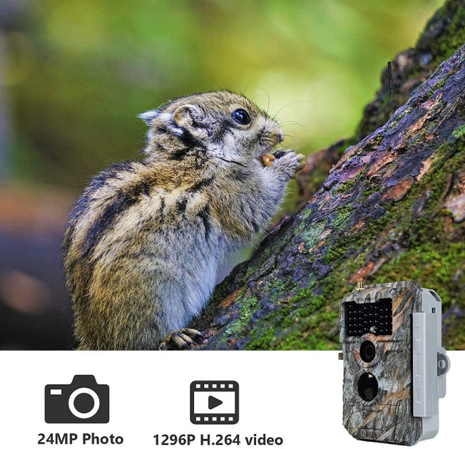 bluetooth deer camera