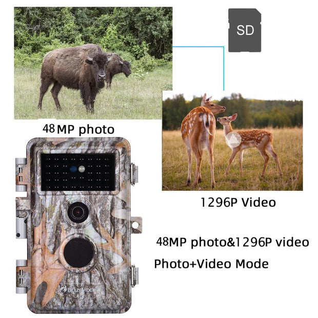 2-Pack Game Trail Deer Cameras for Observing & Home Security 48MP 1296P Video Night Vision Motion Activated Waterproof Invisible Infrared Time Lapse | A252