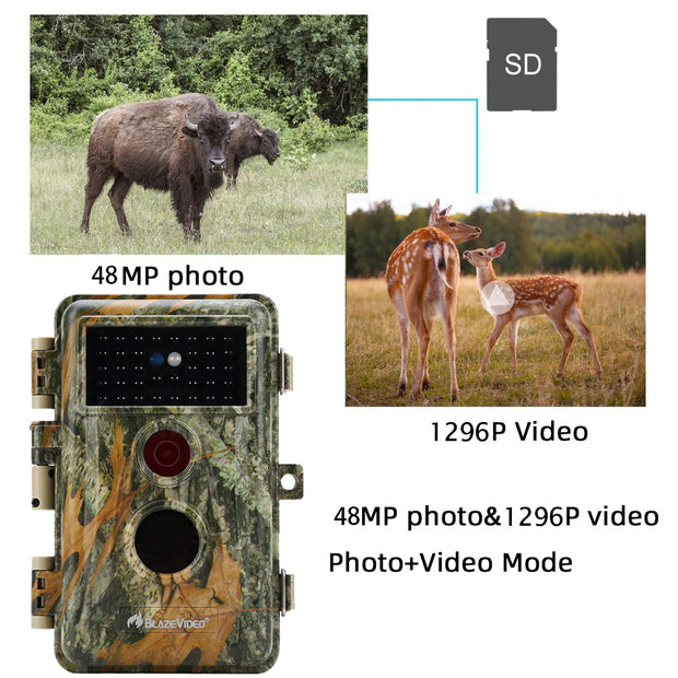 2-Pack Game Trail Wildlife Animal Cams Observing Deer Cameras 48MP Photo 1296P Video Night Vision No Glow Infrared Motion Activated Waterproof | A252