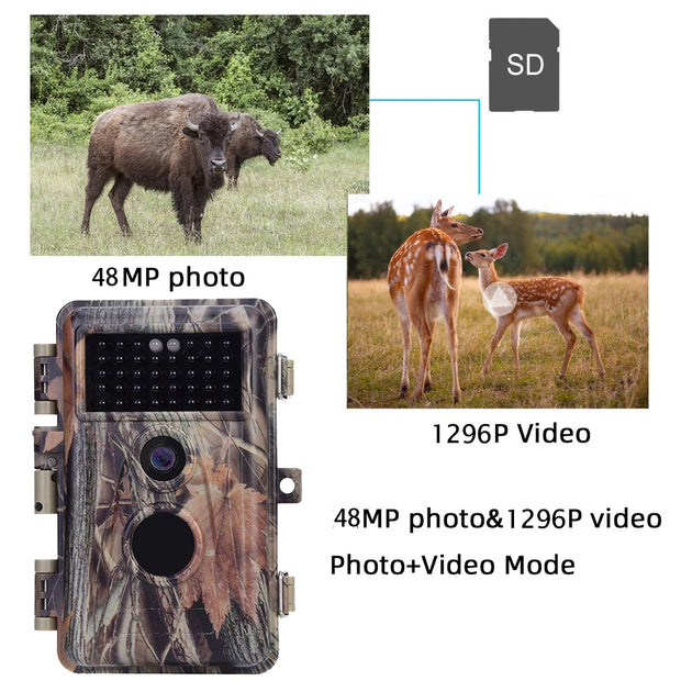 2-Pack No Glow Game Trail Deer Observing Cameras 48MP Photo 1296P Video Motion Activated Waterproof Night Vision Invisiable Infrared Time Lapse | A252